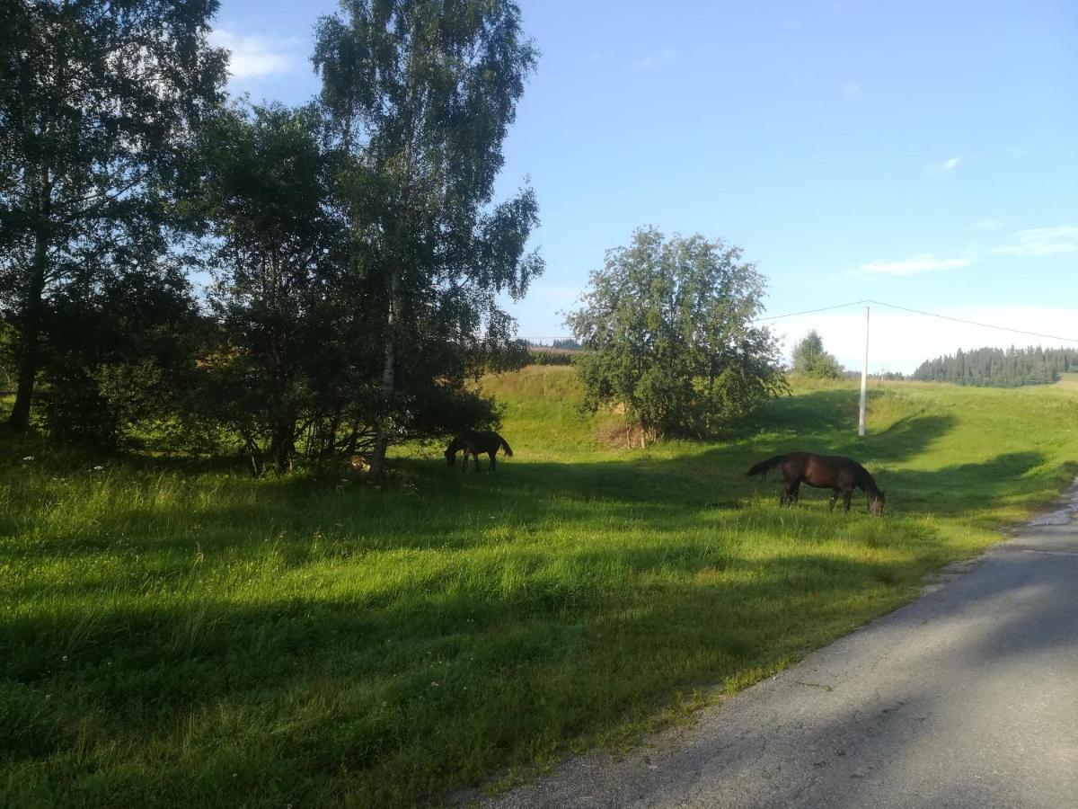 Pokoje Goscinne Duda Bialka Tatrzanska Exterior foto